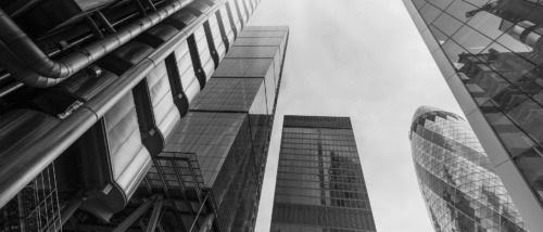 Case Study Thumbnail